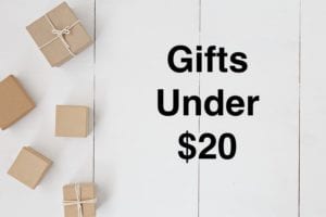 5 Christmas Gifts under $20