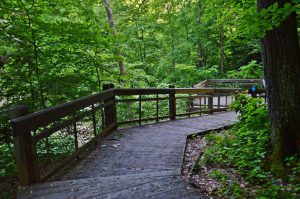 Nearby Oglebay trail boosts scenic waterfall views