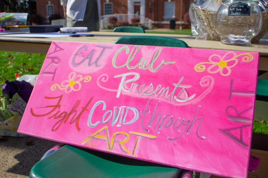 West Liberty’s C.A.T. club hosts event for students to fight COVID-19 struggles through art