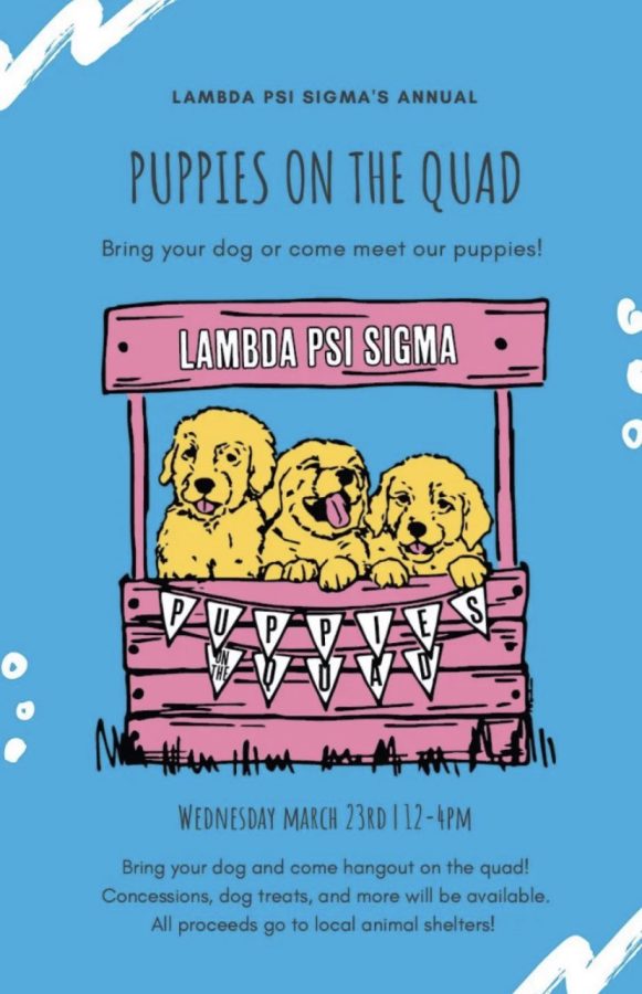 Puppies on the Quad event flyer provided by Riley Duda the president of West Liberty Universitys Lambda Psi Sigma sorority.