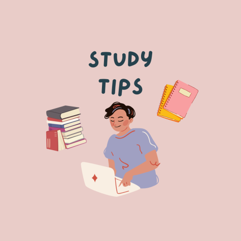 Study tips for Spring 23 finals