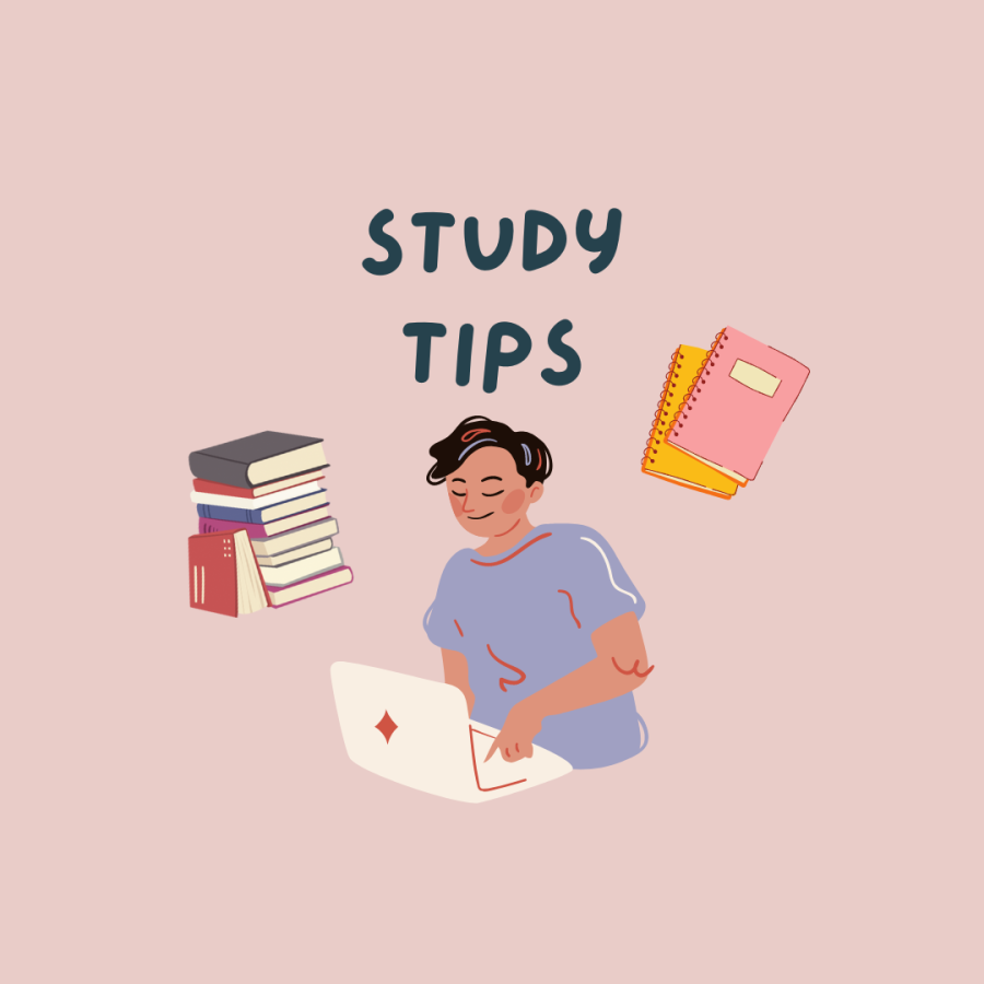 Study+tips+for+Spring+23+finals