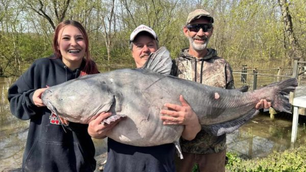Giant Catfish Caught by 15-year-old May Become New Record Holder