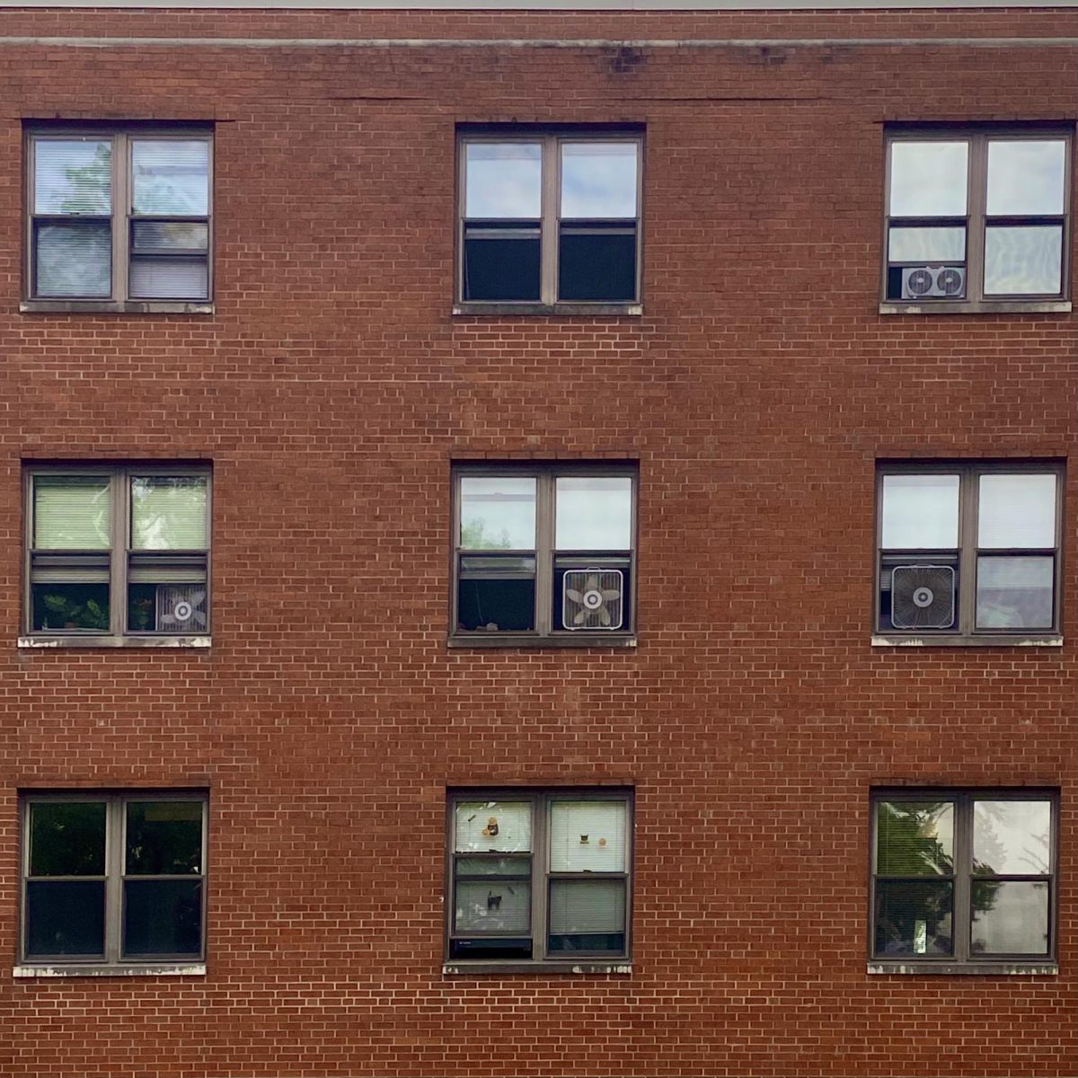 Windows of Rogers Hall