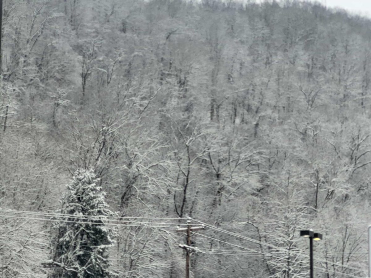 Be Safe: Practicing Safety Driving Precautions for Winter's Snow